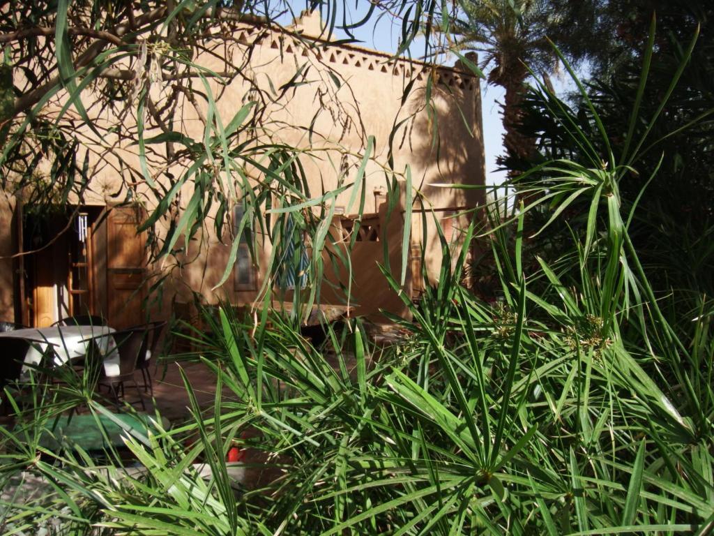 Dar Paru Bed & Breakfast M'Hamid Eksteriør bilde
